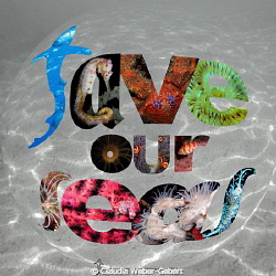 save our seas - all over the world! by Claudia Weber-Gebert 